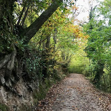 Casa Folibar Ferienhaus *